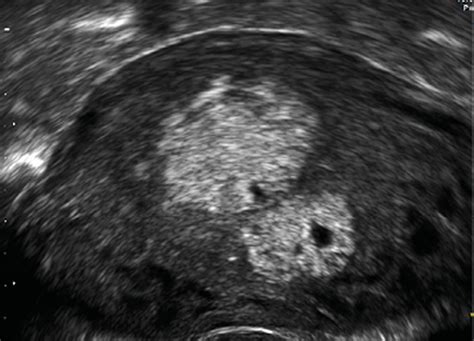 Universimed - Medizin im Fokus