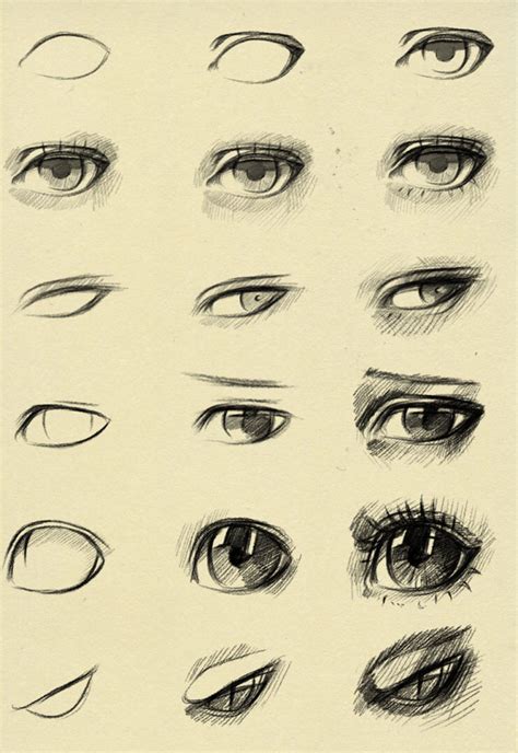Kinds Of Eye