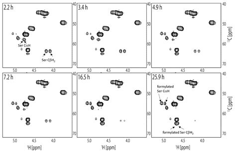 Presence of β-Turn Structure in Recombinant Spider Silk Dissolved in ...