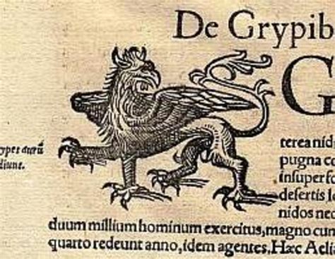 Kuvatulokset haulle gryphon