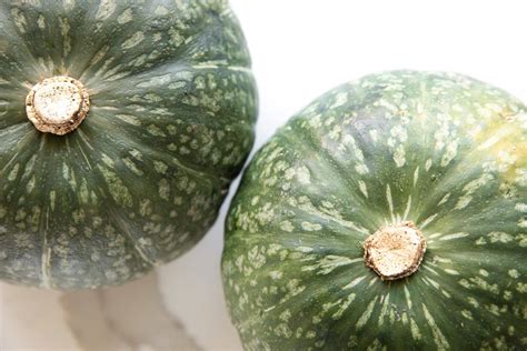 Types Of Green Squash