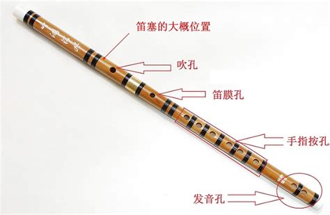 笛子指法初学者一定要会的两种笛子指法图解-中音阶梯音乐培训学校