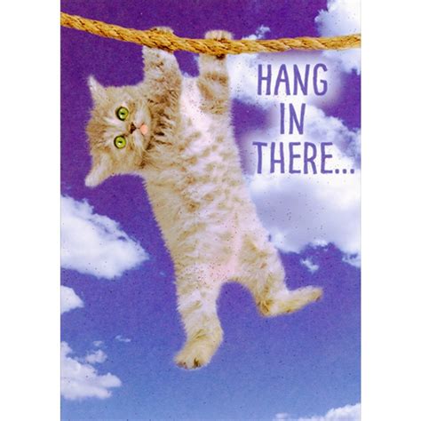 Hang In There Kitty
