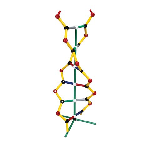 DNA Model Kit 的图像结果