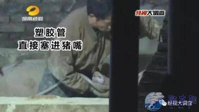 【三提三效】连城：加快推进数字经济实训基地项目建设 打造直播（跨境）电商生态园_腾讯新闻