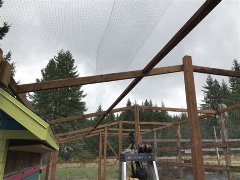 How To Make A Chicken Run Roof at Sarah Lauren blog