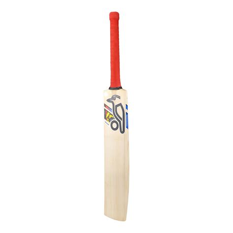 Kookaburra English Willow Cricket Bat Beast Pro Players | Full Players ...