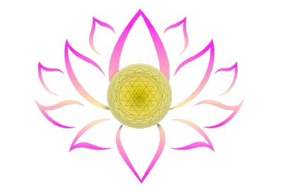 Confido Tablet (60's) – Himalaya – AyuSadhya