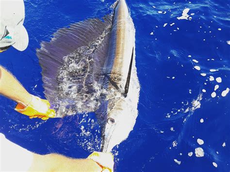 REEL DEAL (2026) All You Need to Know BEFORE You Go (w/ Reviews ...