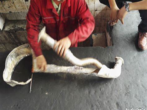 DPF Problems 的图像结果