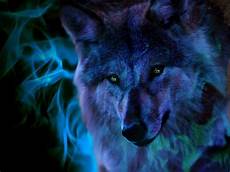 Cool Wolf Wallpapers by Cool Wolf Backgrounds Wallpaper Cave Cool Wolf Wallpapers