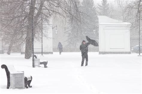 恶劣天气在城市：大雪和飞雪在冬天 库存照片. 图片 包括有 暴风雪, 危险, 被证章的, 厌恶, 公园, 雪花 - 90636050