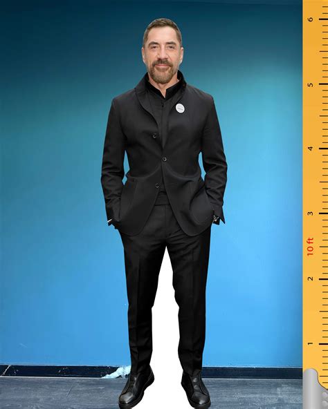 🎬 Javier Bardem Cardboard Cutout – Spanish Screen Legend Edition Life ...