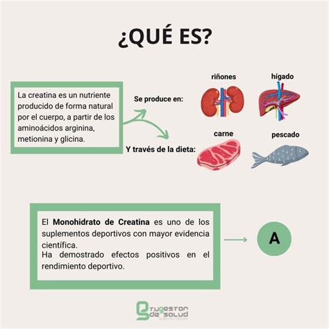 Creatina ¿Qué es y para qué sirve? - Tu gestor de salud