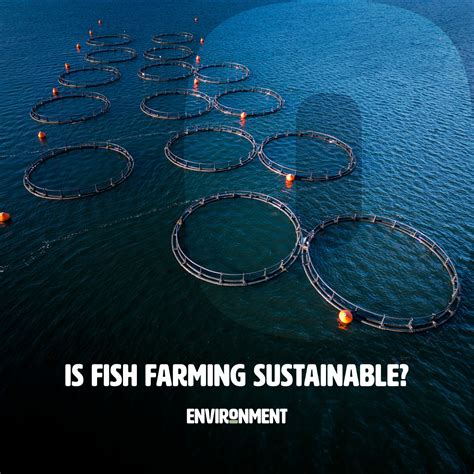 What Is Fish Farming 的图像结果