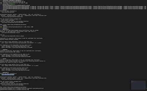 Why Not Python Program Run 的图像结果