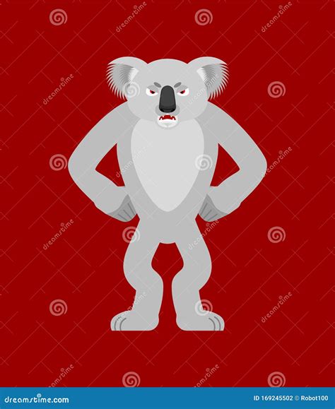 Koala Angry. Koala Bear Evil. Beast Aggressive Stock Vector ...