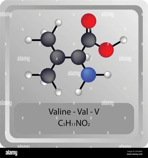 Valine Structure