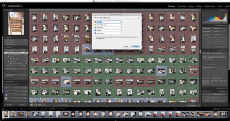 Image result for Photo Mechanic Tutorial