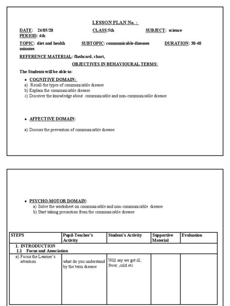 Image result for Learning Focus Lesson Plan Format PDF