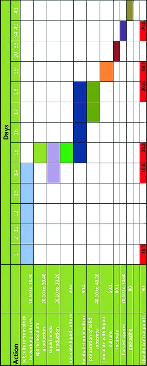 Image result for Bulk Production Timeline Process