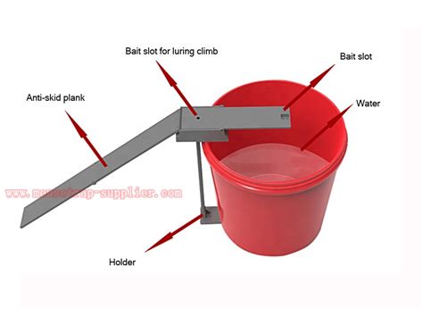 Plank Rat Trap 的图像结果