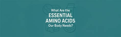 Essential Amino Acids: The Key to Muscle Growth, Recovery & Overall ...