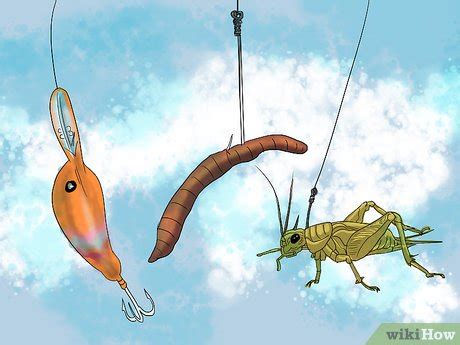 Image result for How to Basic Fish