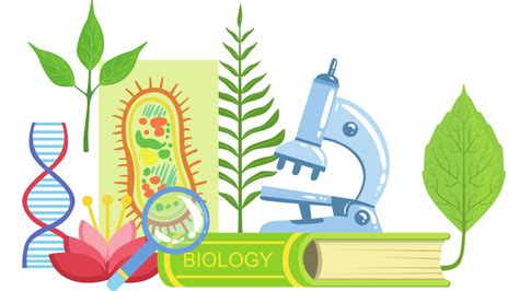 Experiments - Miracles Of Science our experiments for kids