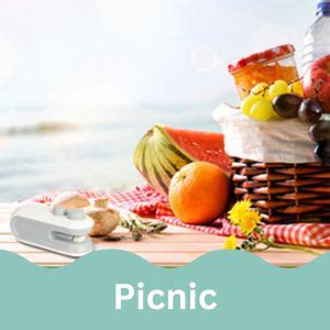 Buy FIGMENT Portable Mini Sealing Machine, Handheld Heat Sealer for ...