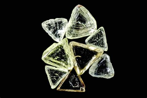 Macles Lady Bug 的图像结果