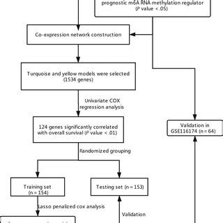 Flowchart TCGA 的图像结果