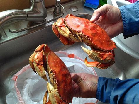 WESTPORT RV PARK & MOTEL - Motel Reviews, Photos, Rate Comparison ...