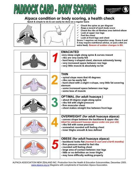 Image result for Conversion Flow Chart Examples for Math