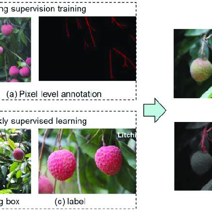 Image result for Supervised Learning Practical Examples