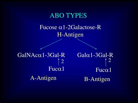 Image result for Computer Science Theoretical Test Example