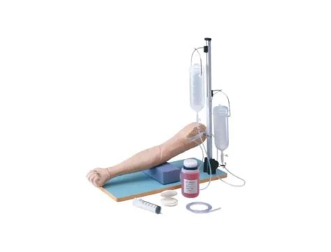 Image result for Injection Training Arm Model