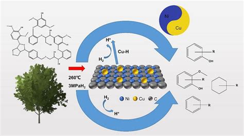 Image result for Chemical Engineering Science Impact Factor