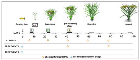Heavy Metal Accumulation in Soil and Water in Pilot Scale Rice Field ...