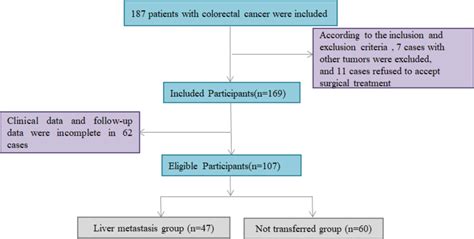 Image result for Collection Selection Data Process