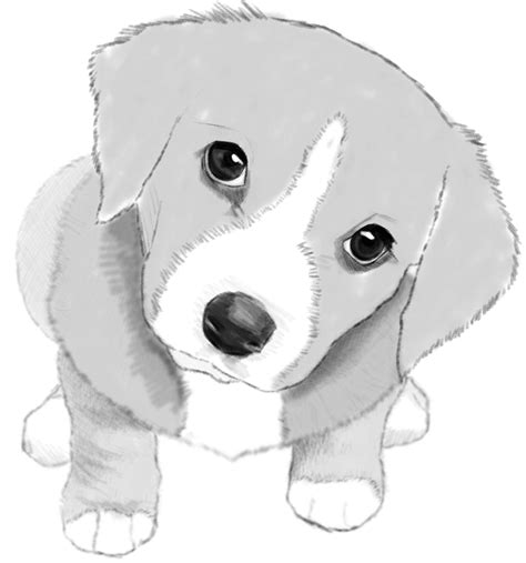 How To Draw Cute Little Puppy