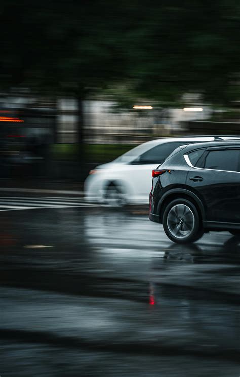 Image result for Free Bitmap