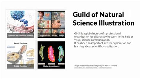 D'source Case Study - Slide Show | Scientific Visualization of ...