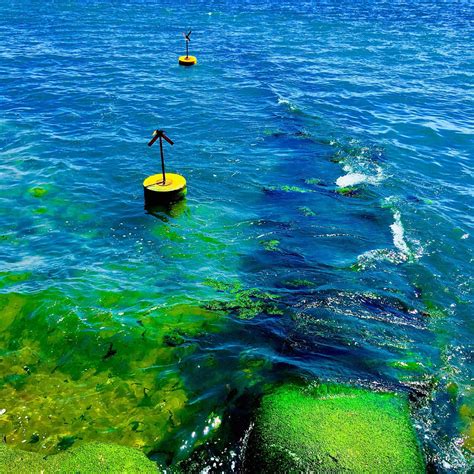 Highcliffe Tourism (2024): All You Need to Know Before You Go