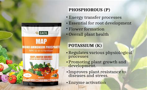 GACIL® MAP Mono Ammonium Phosphate 12 61 00 NPK Water Soluble ...