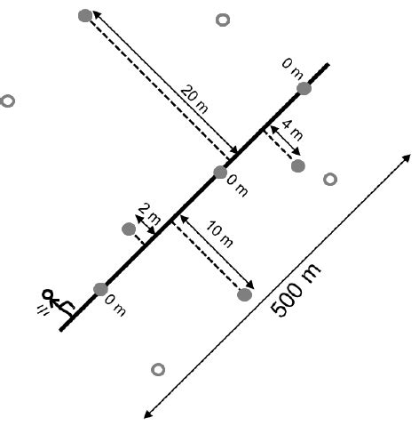 Image result for Transect Sampling