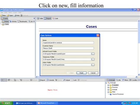 Encase Tutorial 的图像结果