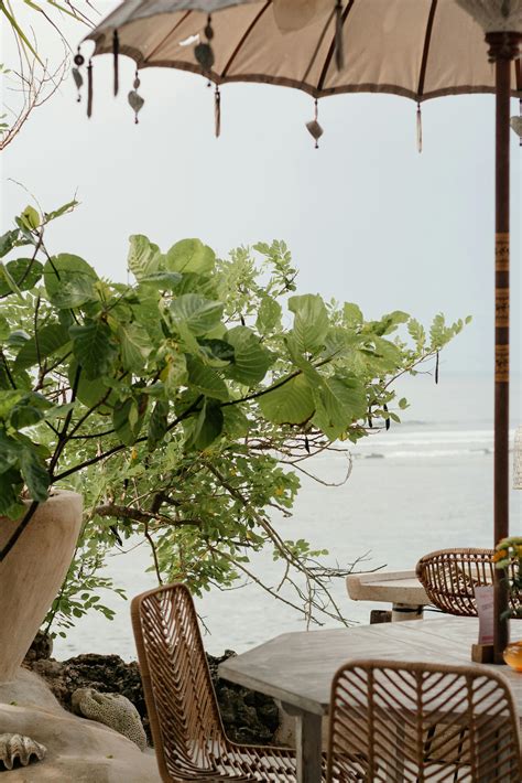 Beach Restaurant 的图像结果