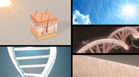 Environ 的图像结果