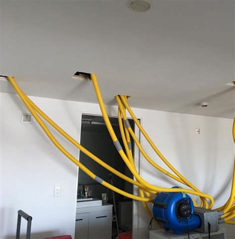 Image result for Structure Drying Cycle